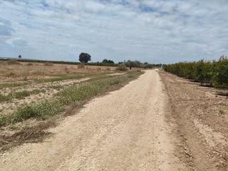 Finca rústica a Las Bayas. 22.000 m2 de terreno agrícola en baya baya