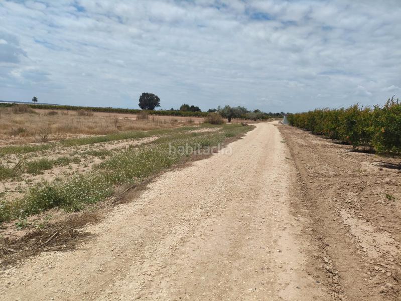 Foto f9a4ed6f-ca03-4d63-8f3e-b2d02faae6a7. Landgut in Las Bayas Elche / Elx