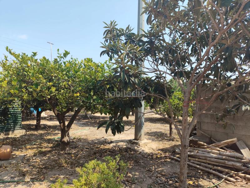 Foto 03d51dc4-7952-498d-94d3-122ef29d4d64. Casa adosada  en algorós con frutales en Elche / Elx