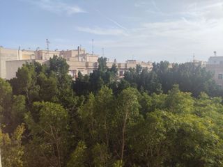 Pis a La Foia - Daimés - Asprella