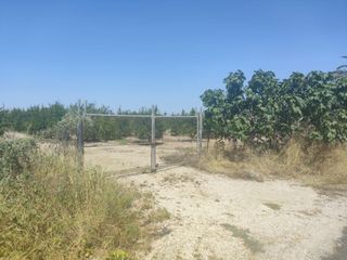 Finca rústica a La Foia - Daimés - Asprella