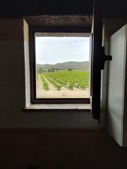 Rural plot in Yecla. Gran finca con viñedos y casa en yecla