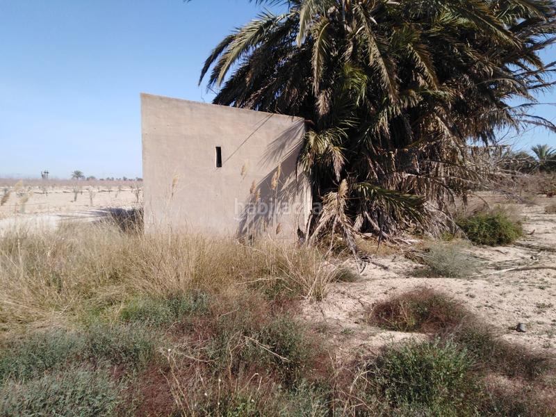 Foto 7616bbb1-c62d-419a-bf8d-455caa691a65. Finca rústica a La Marina Elche / Elx