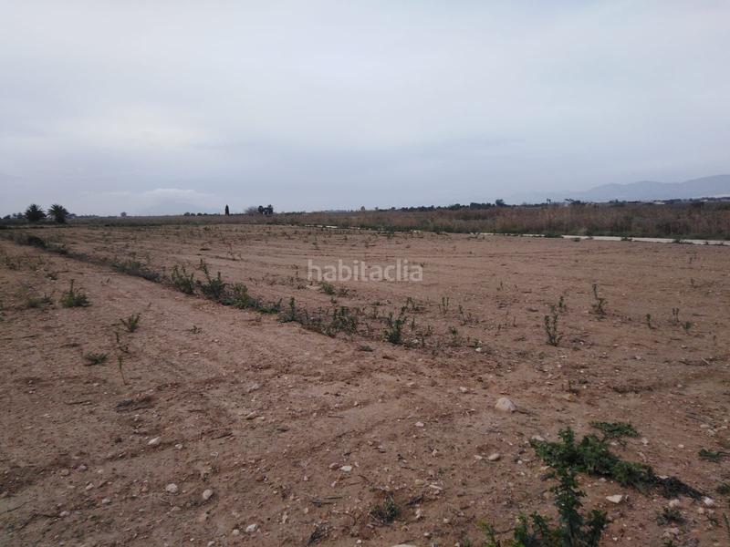 Foto 988d45c3-d2fa-41e0-a680-fa5c471db2f2. Finca rústica a La Marina Elche / Elx