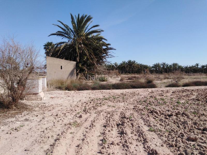 Foto dbcac5e9-1718-4217-97e6-e8d04d8824cb. Finca rústica a La Marina Elche / Elx
