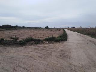 Finca rústica a La Marina. Terreno 2  escrituras , deal para olivos o ocio , en el molar -