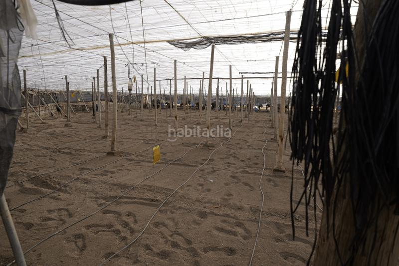 Foto 3ca6c5c0-ca7e-4e5b-ae2b-27600fb7624b. Propriété dans paraje cabriles 37 dans Ejido Sur Ejido (El)