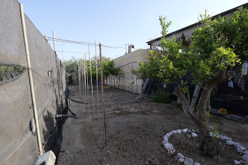 Foto 22994633-c866-4e68-84d8-469f890b6b1f. Finca rústica en paraje cabriles 37 en Ejido Sur Ejido (El)