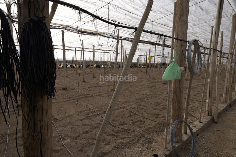 Foto 34f69b09-d281-489e-bab6-ad062877d28a. Finca rústica en paraje cabriles 37 en Ejido Sur Ejido (El)