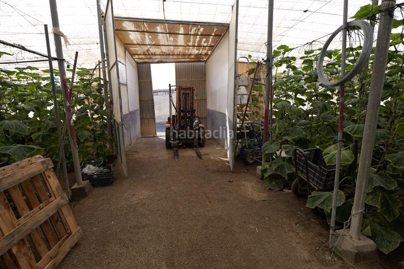 Foto 7cbb6062-d3e5-42bd-b90f-ebe3ceadf479. Finca rústica en paraje cabriles 37 en Ejido Sur Ejido (El)