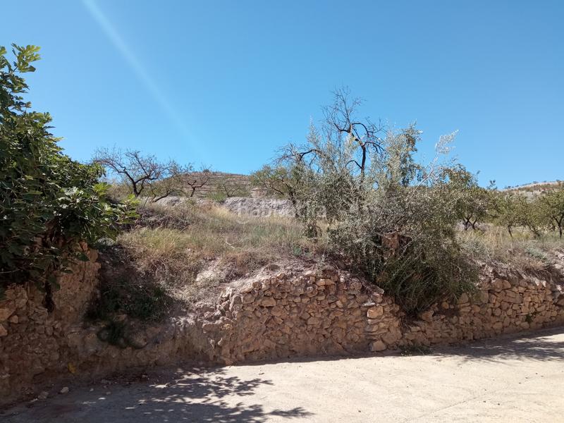 Foto 37f013e2-81ca-4c9c-93bb-5ee45772fb78. Terrain résidentiel dans calle del pino 8 dans Turón