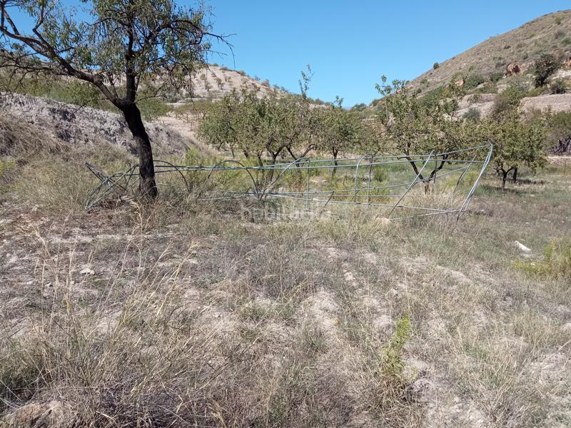 Foto c0b86d8f-ed53-431c-a6b1-f3294572f74a. Terrain résidentiel dans calle del pino 8 dans Turón