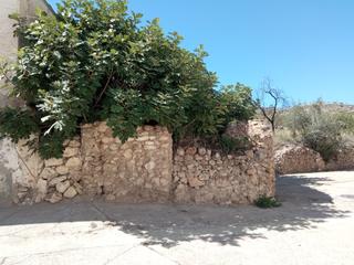 Terreno residenziale in Calle del Pino 8