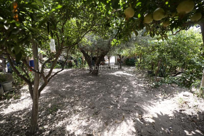 Foto 679e09e6-9b3b-4a0b-a4ce-b41d2b15e2a7. Country house in calle la cuesta 8 in Berja