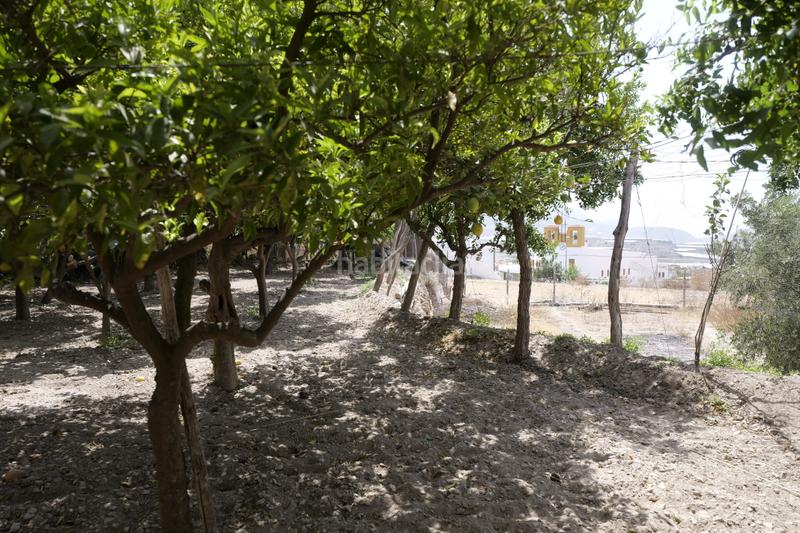 Foto cef33f7f-528a-4478-a0d7-1d7db0bd27c2. Country house in calle la cuesta 8 in Berja