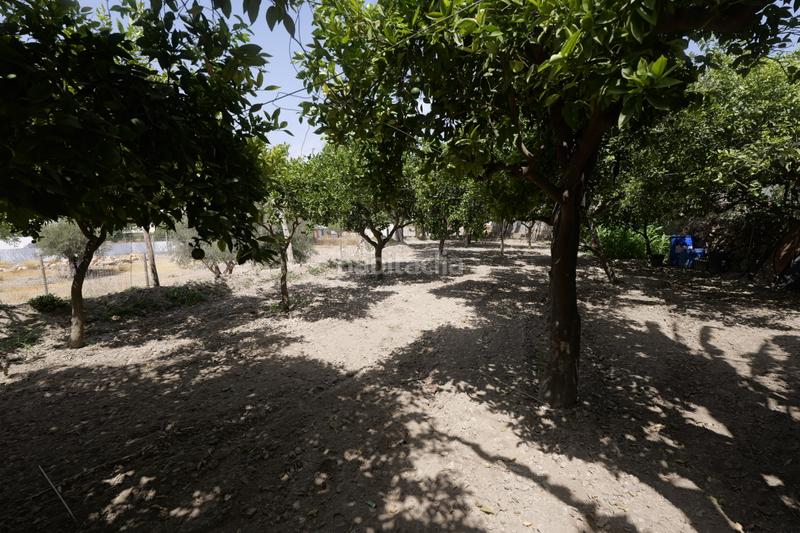 Foto f5f8f720-dc7e-4e9c-83e1-774b0ca95c28. Country house in calle la cuesta 8 in Berja