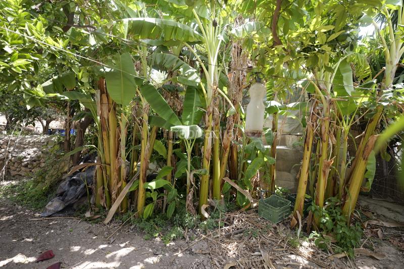 Foto 46a4f8e8-e2a9-42ce-83cc-c0325f88747b. Mas dans calle la cuesta 8 dans Berja