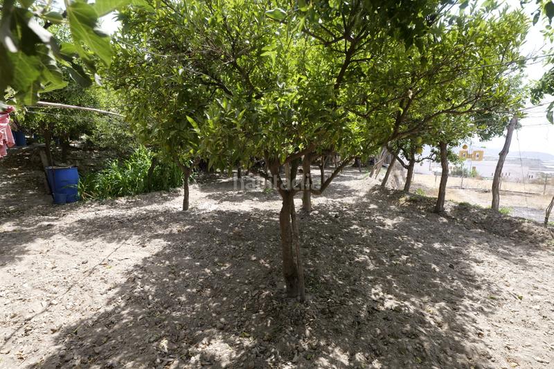 Foto 75b66d59-ff0b-49e1-b68d-450f9329654d. Mas dans calle la cuesta 8 dans Berja