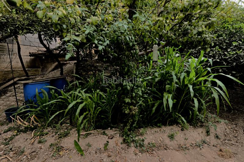 Foto 883dce2a-2f5a-45d2-ad70-30caef131538. Mas dans calle la cuesta 8 dans Berja