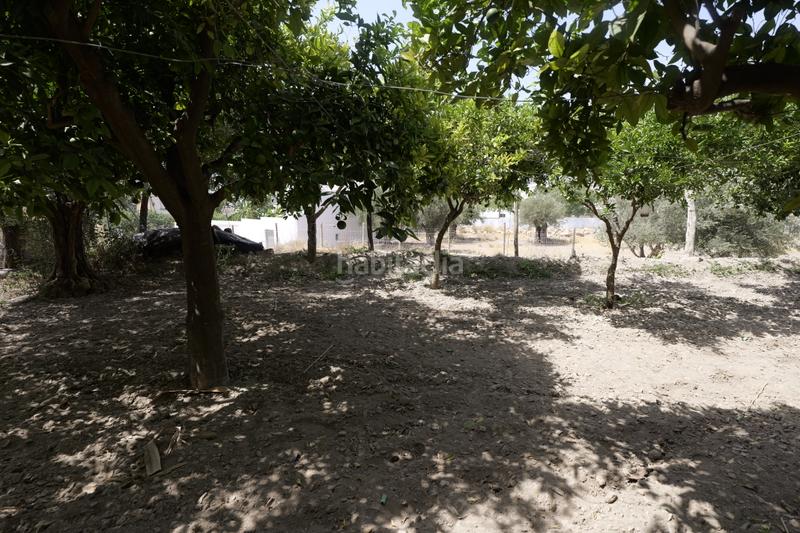 Foto cffa3e17-4839-4869-88a3-2d1e40184b1e. Mas dans calle la cuesta 8 dans Berja