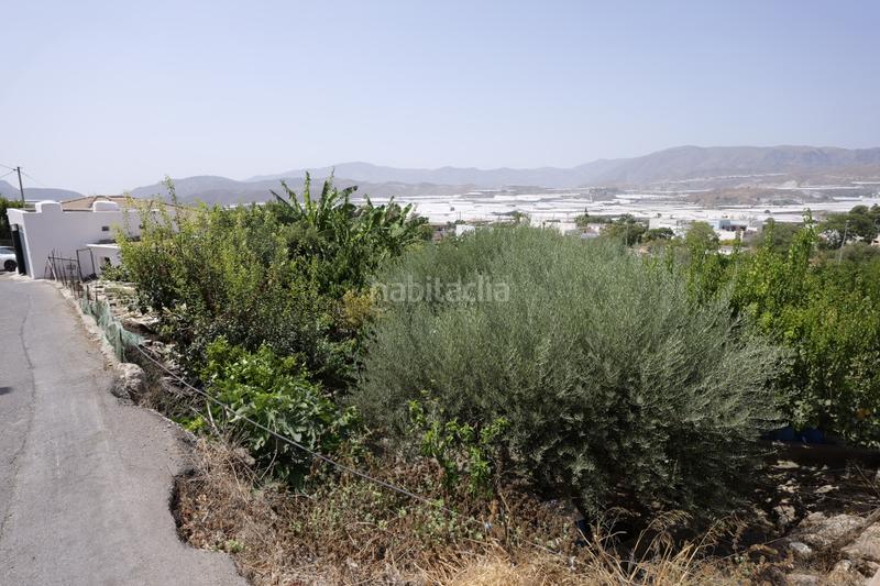 Foto d4d90ba3-b75d-4723-8c2a-2110f5e78d15. Mas dans calle la cuesta 8 dans Berja