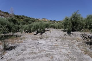 Propriété à Barrio cantarranas 18