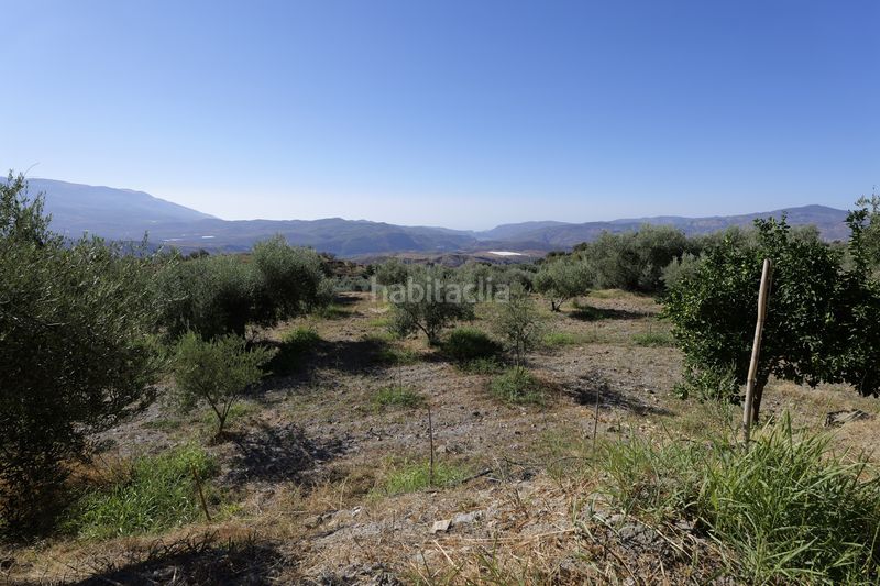 Foto 128fcd72-93d3-44b7-8dd4-fe56601e516c. Finca rústica en calle sierpe 1 en Nevada