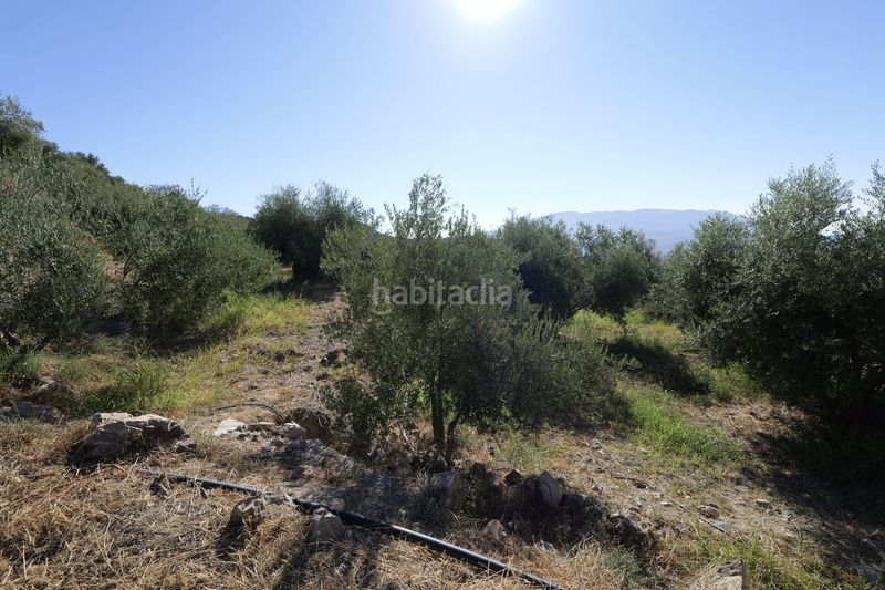 Foto 41b73ec8-0baf-4f6d-97b5-fd0a317fc388. Finca rústica en calle sierpe 1 en Nevada