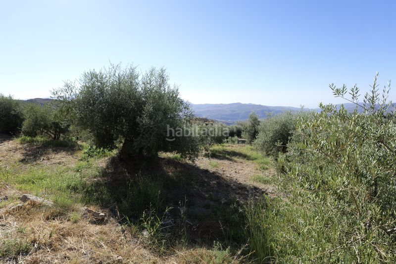 Foto 56f9b524-d574-4d4e-876d-eb00ae92a6ec. Finca rústica en calle sierpe 1 en Nevada