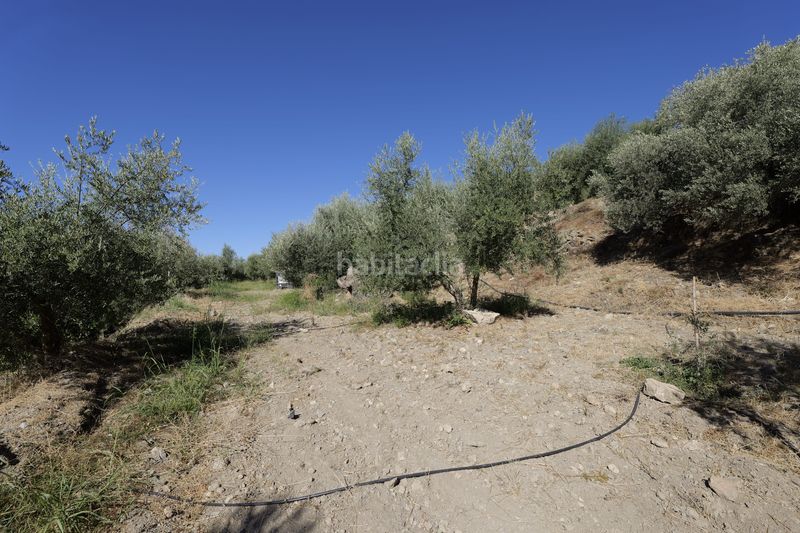 Foto 791f6544-2a67-42e6-86d9-07d262120b06. Finca rústica en calle sierpe 1 en Nevada