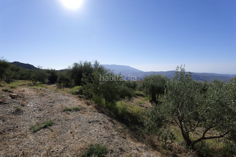 Foto a91839b8-d77c-400e-ad96-341c72b2d473. Finca rústica en calle sierpe 1 en Nevada