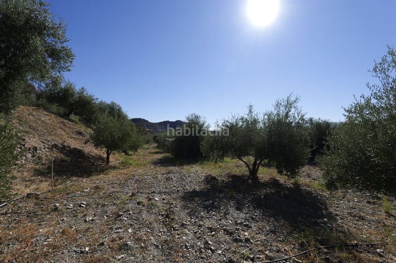 Foto b0f5c3f7-170c-447f-9337-e1fa74ffb049. Finca rústica en calle sierpe 1 en Nevada