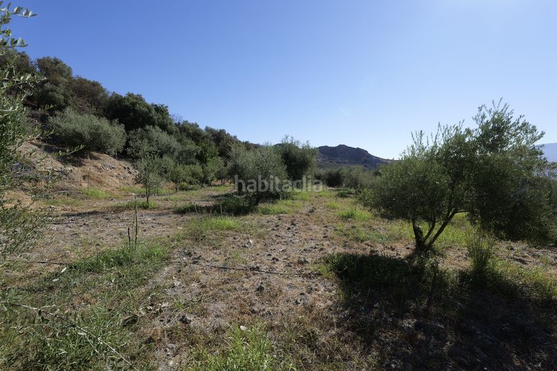 Foto c2772dff-4b76-4fbb-8b62-06e139e23b22. Finca rústica en calle sierpe 1 en Nevada