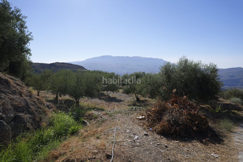 Foto f676bc9c-f900-490d-8208-e865ecb26b9d. Finca rústica en calle sierpe 1 en Nevada