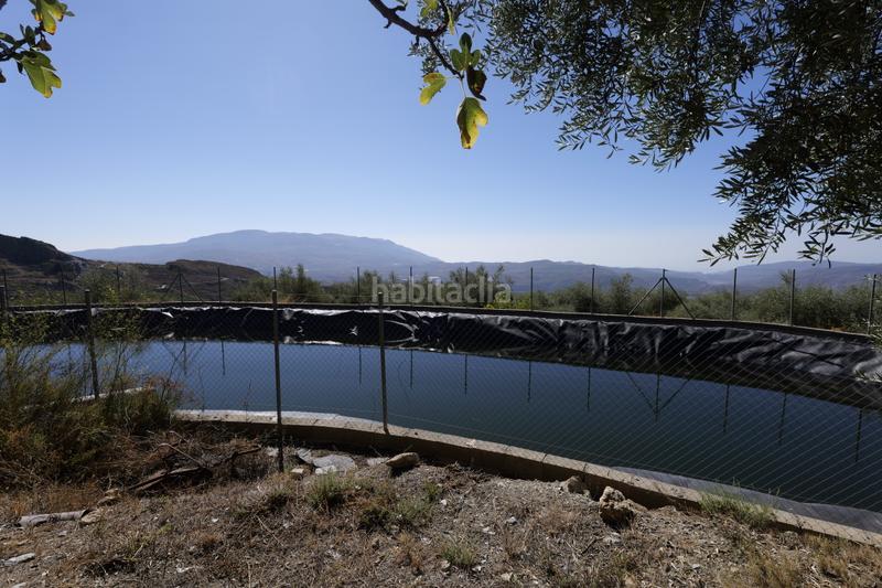 Foto c7f706c5-1656-4333-96e2-b89944680007. Finca rústica a n/a a Nevada