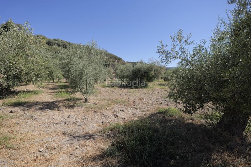 Foto d4ee2cf3-f759-4649-8923-2f7cf4e720dd. Finca rústica a n/a a Nevada