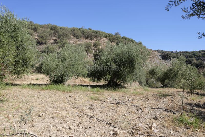 Foto ef5e88e1-e30f-4a4e-af9e-93cac2508cc6. Finca rústica a n/a a Nevada