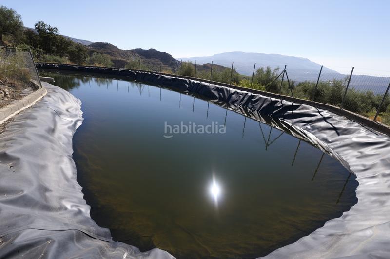Foto f714ee0b-485d-4e26-927d-7072d414e1e3. Finca rústica a n/a a Nevada