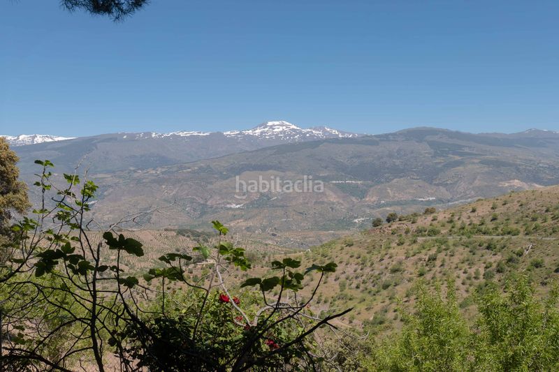Foto 0265f6d7-260c-4082-9f6f-9bc069b0eb49. Mas dans avenida andalucia 30 dans Lobras
