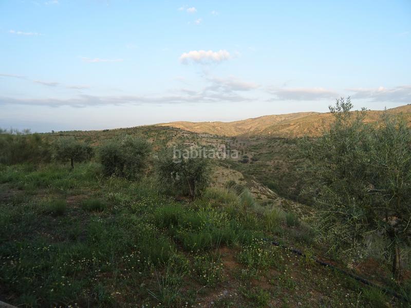 Foto 01e50bac-f50a-4b7c-8c7f-16da592595ba. Masia a n/a a Lobras