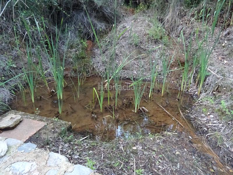 Foto 4c4c997e-0388-4c8b-9988-296b2994a62f. Masia a n/a a Lobras