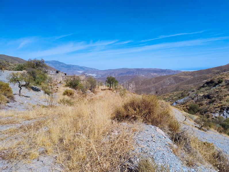 Foto 78e0c3c4-5543-4e97-83e4-84484c7575d7. Finca rústica a n/a a Berja