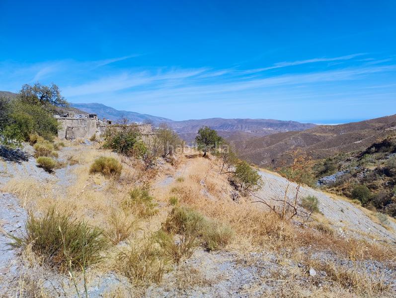Foto a619f6f3-5065-4e20-b5a4-3ce95a071937. Finca rústica a n/a a Berja