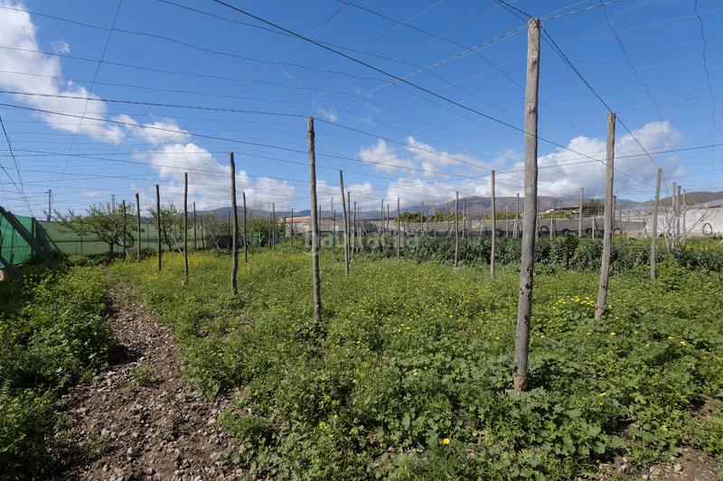 Foto 0d7dc3c8-51c9-4d4d-b3c7-073b87c56c99. Landgut in calle la carreterilla 9 in Berja