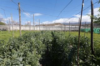 Landgut in Calle la carreterilla 9