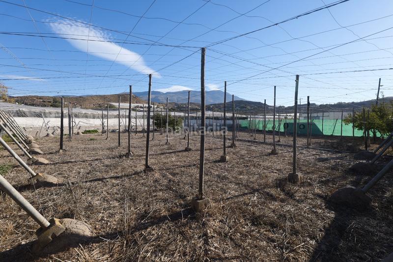 Foto 9b840912-ea44-441b-96f2-3ba106a994b3. Landgut in calle la carreterilla 9 in Berja