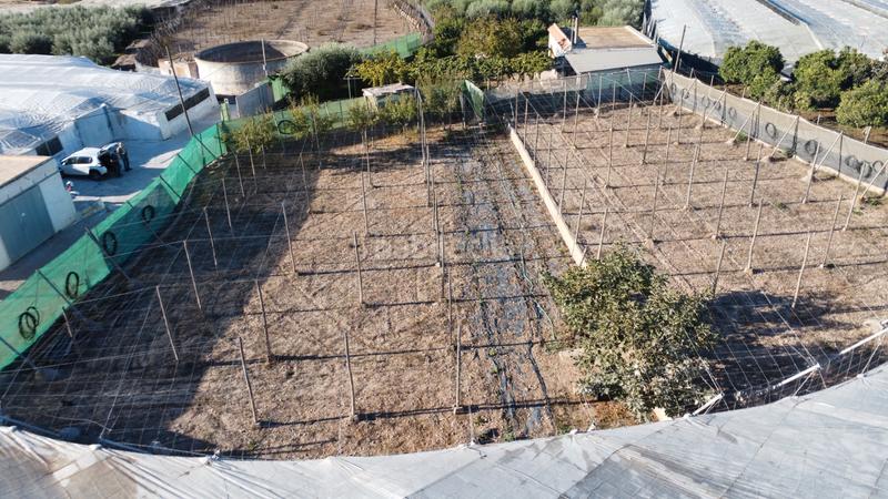 Foto b674e1f1-b595-4df4-b68c-a8d2c923512d. Landgut in calle la carreterilla 9 in Berja