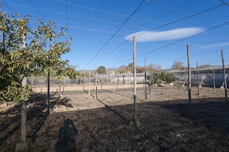 Foto d47fb809-9ebe-410f-8191-f6ef49dd532c. Landgut in calle la carreterilla 9 in Berja