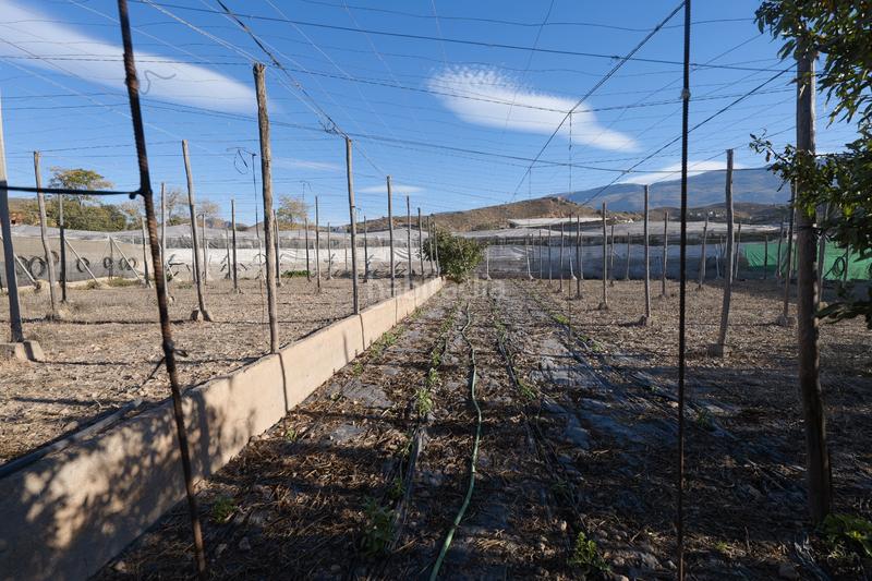 Foto 7c7a30d9-3b08-4326-ae24-aa52e510b945. Propriété dans calle la carreterilla 9 dans Berja