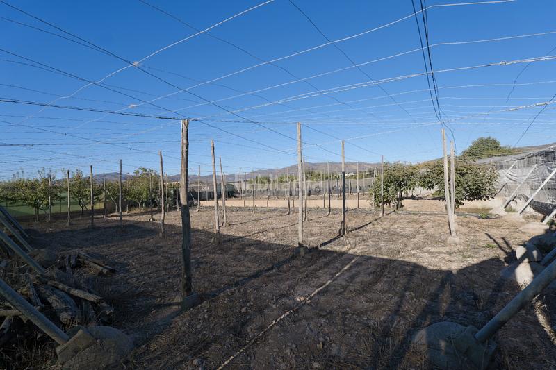 Foto a1fa5b42-b10a-49d6-aad5-5fe6d8bcbb11. Propriété dans calle la carreterilla 9 dans Berja